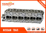Motor Silindir Kafası NISSAN TB45 11041-VC000 Benzin 12 V