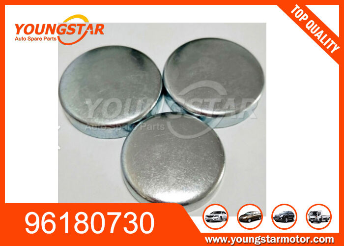 96180730 Motor Bloğu Çekirdek Delik Tıpa GM için 60000KM Garanti