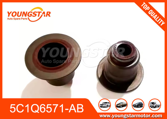 5C1Q6571-AB Ford V348 Transit 2.4 için Valve Steal 2.2
