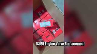ISUZU 6BG1 6BD1 Motor Valfi 0114 0279 Değiştirme